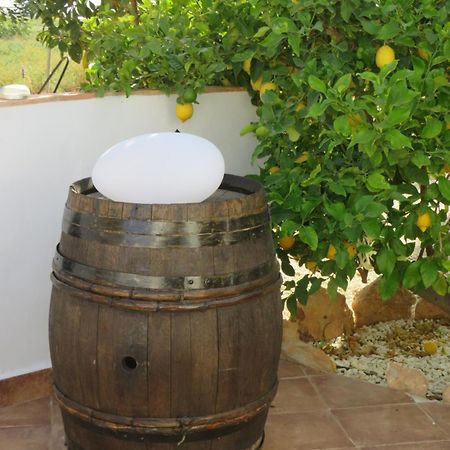 קרטחנה B&B Finca La Manchica מראה חיצוני תמונה