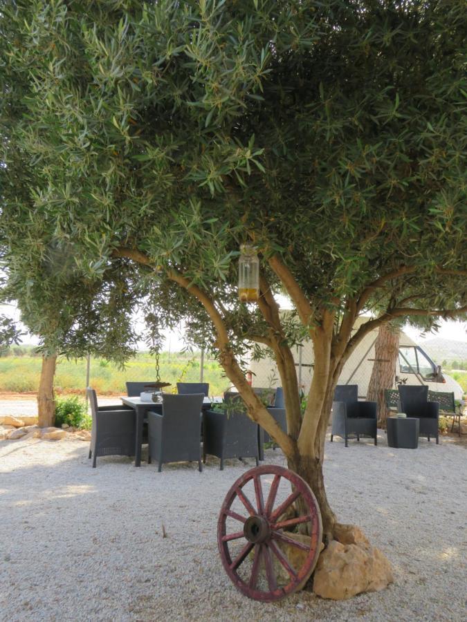 קרטחנה B&B Finca La Manchica מראה חיצוני תמונה